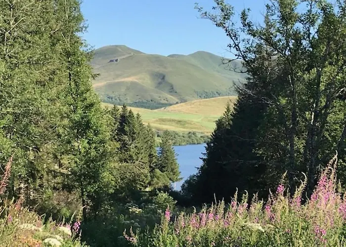 Appartement T3 Avec Terrasse, 2 Parkings, Au Mont-dore - Fr-1-608-235 *